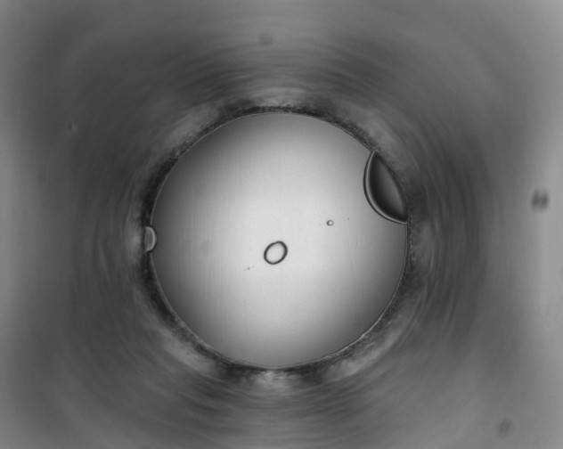 X0000101180261200807111122