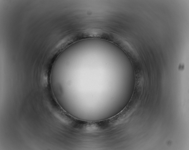 X0000101180262200807111122