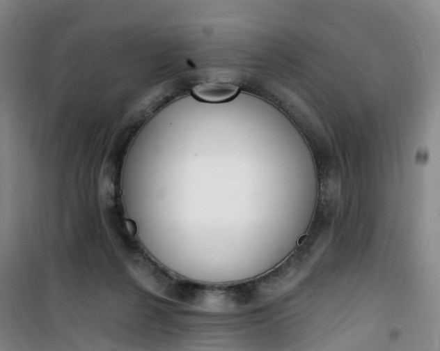 X0000101180264200807111122