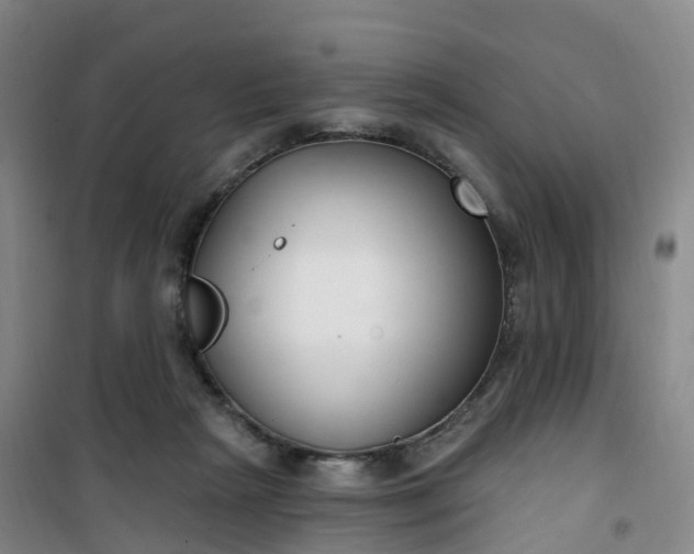 X0000101180265200807111122