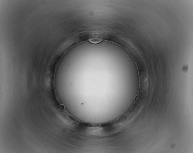 X0000101180266200807111122