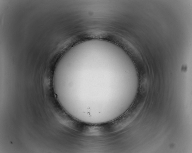 X0000101180268200807111122