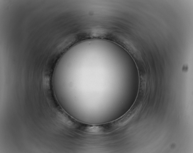 X0000101180269200807111122