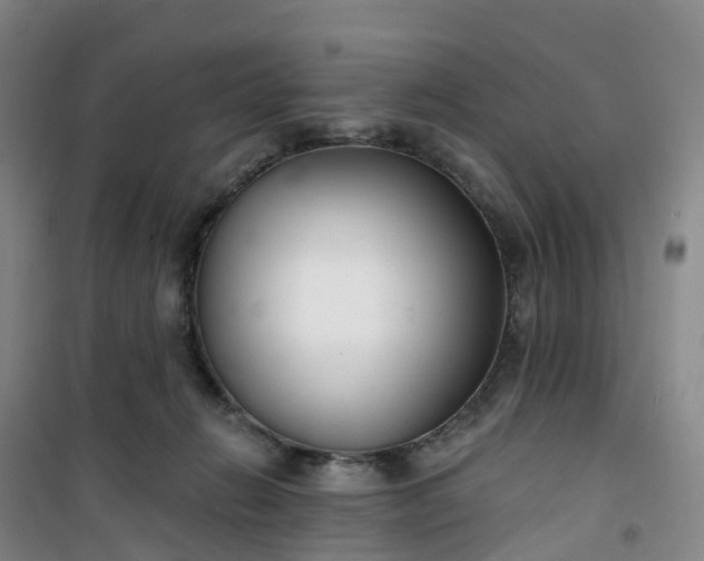 X0000101180270200807111122