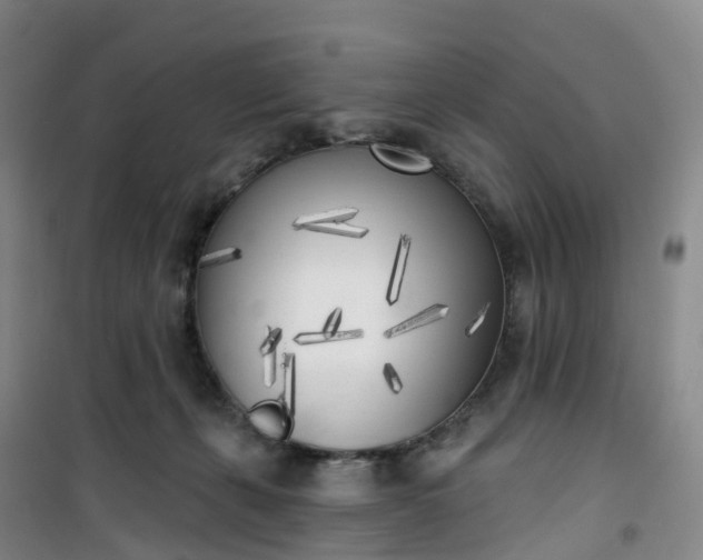 X0000101180271200807111122