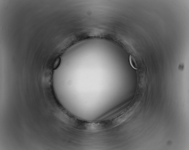 X0000101180273200807111122