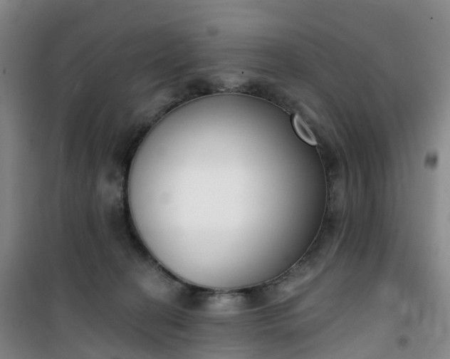 X0000101180274200807111122