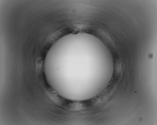 X0000101180276200807111122