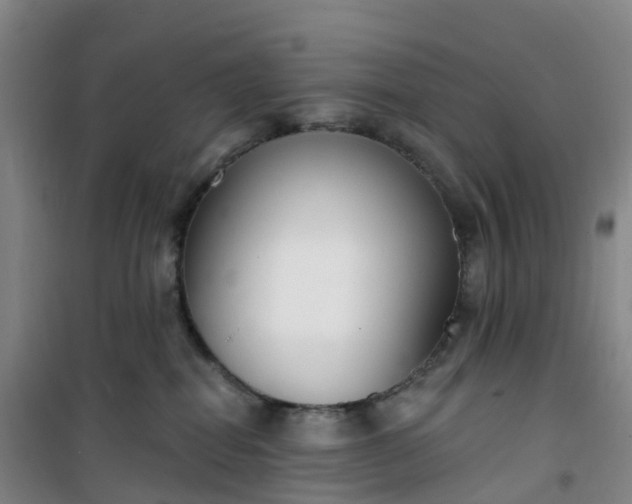 X0000101180282200807111122