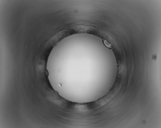 X0000101180283200807111122