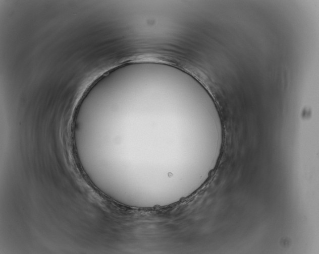 X0000101180289200807111122