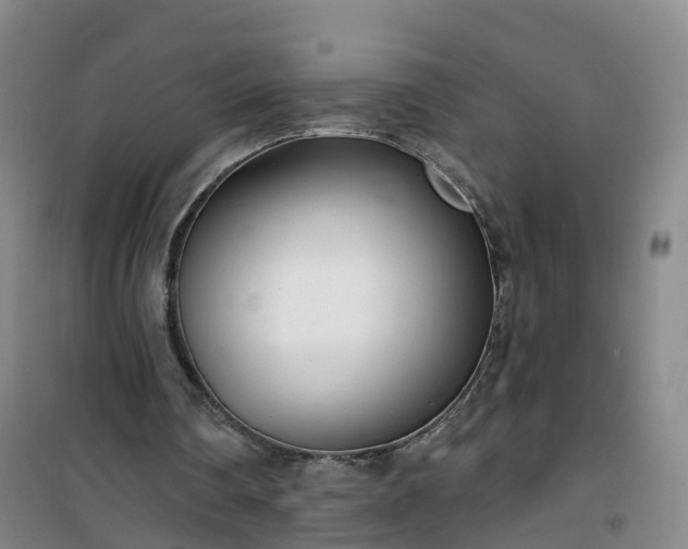 X0000101180290200807111122