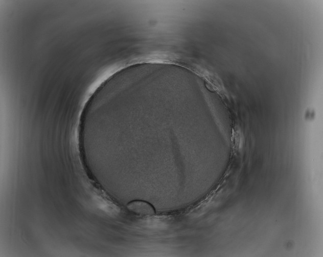 X0000101180292200807111122