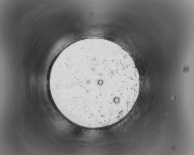 X0000101180293200807111122