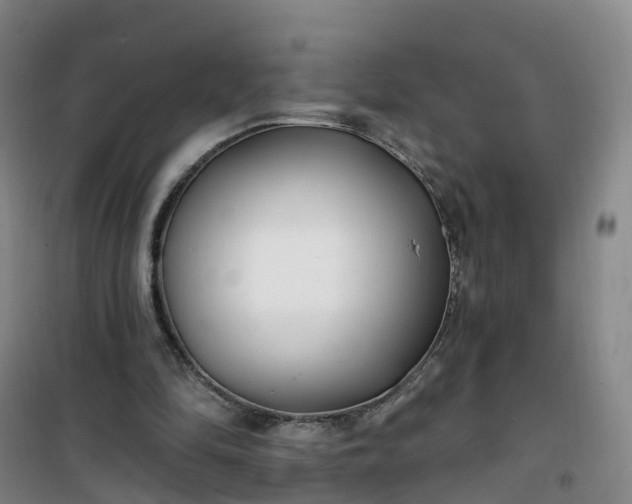 X0000101180294200807111122