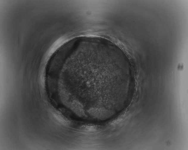 X0000101180295200807111122