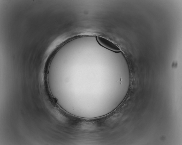 X0000101180296200807111122