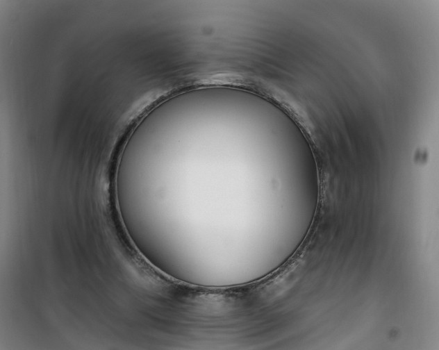 X0000101180298200807111122