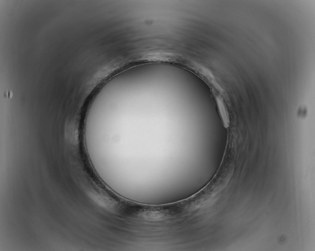 X0000101180299200807111122