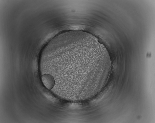 X0000101180303200807111122