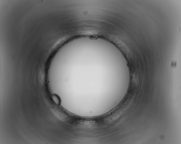 X0000101180304200807111122