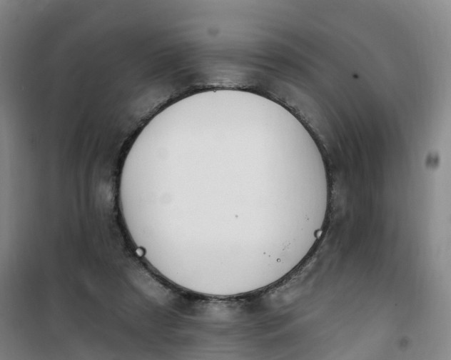 X0000101180305200807111121