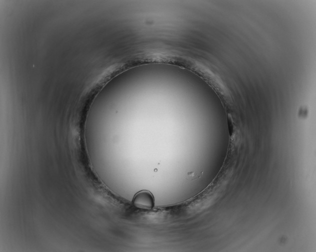 X0000101180306200807111121