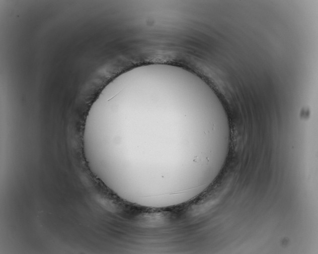 X0000101180307200807111121