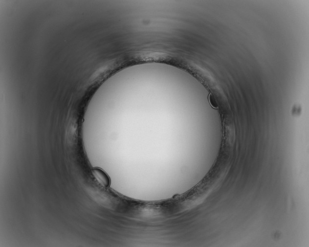 X0000101180308200807111121