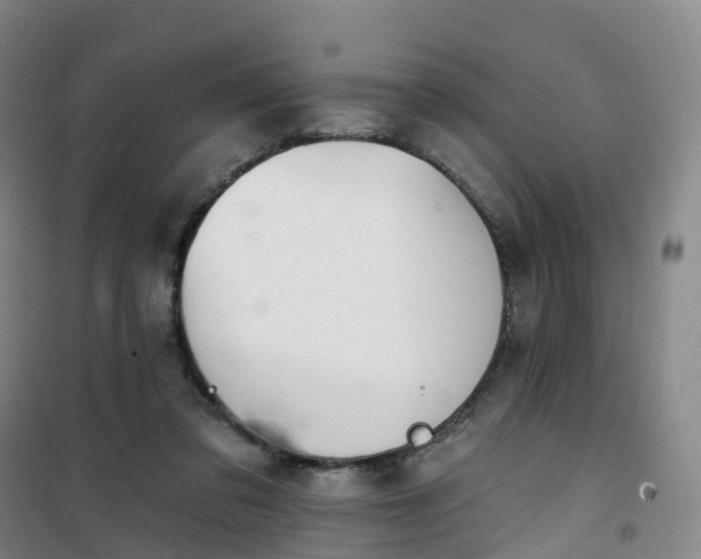 X0000101180309200807111121