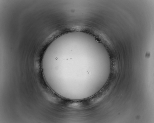 X0000101180312200807111121