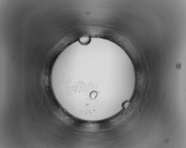 X0000101180313200807111121