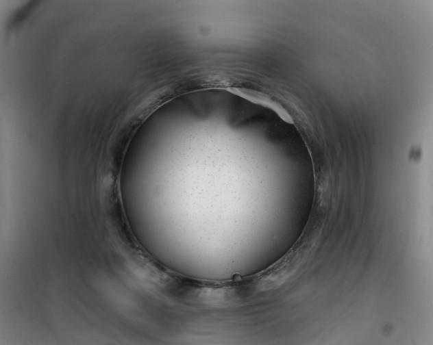 X0000101180314200807111121