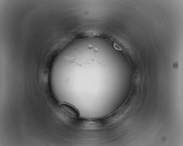 X0000101180315200807111121