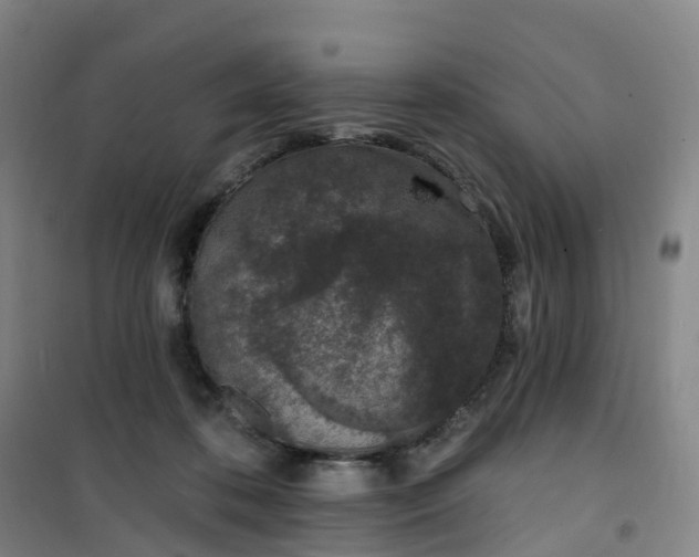 X0000101180316200807111121