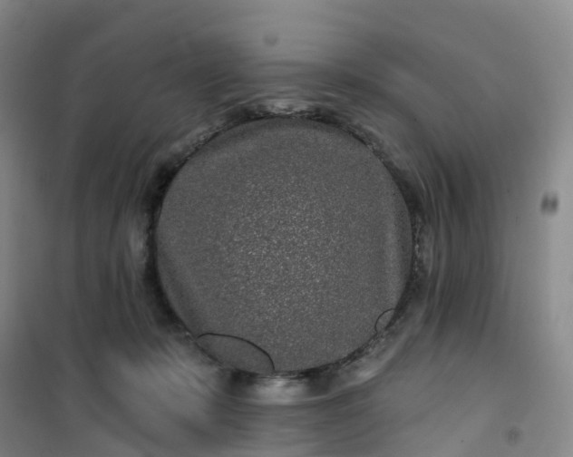 X0000101180319200807111121