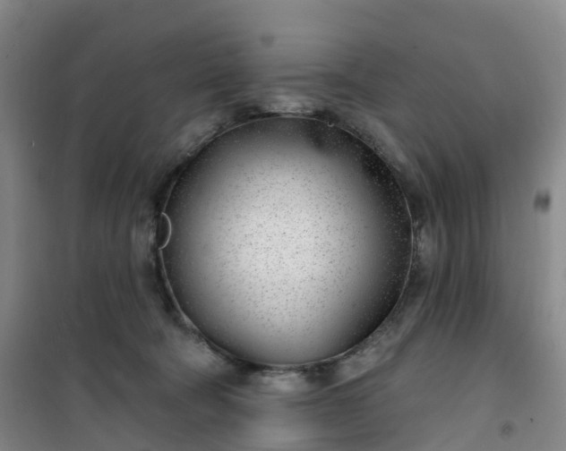 X0000101180322200807111121