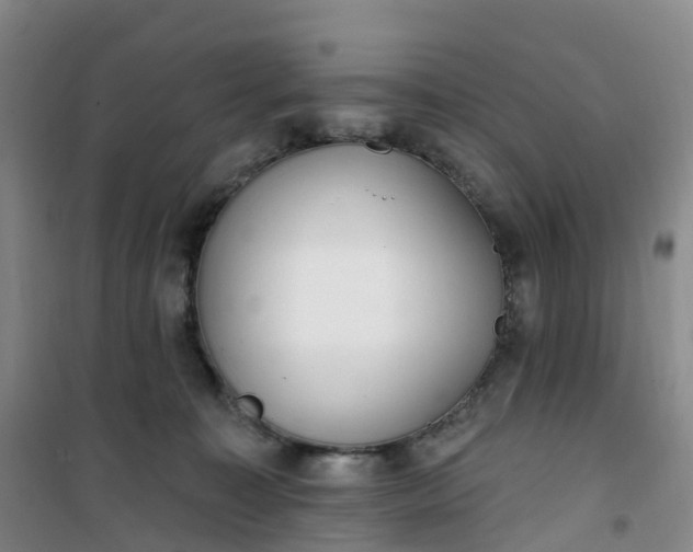 X0000101180323200807111121