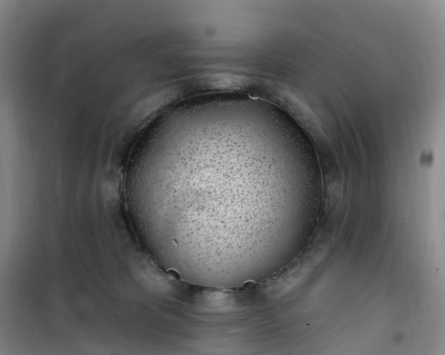 X0000101180325200807111121