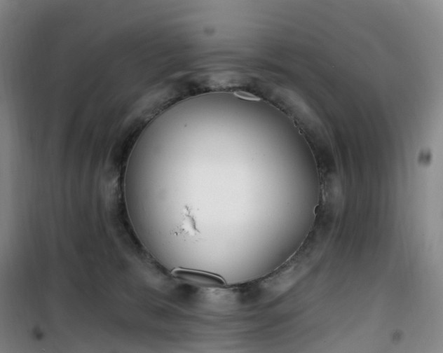 X0000101180327200807111121