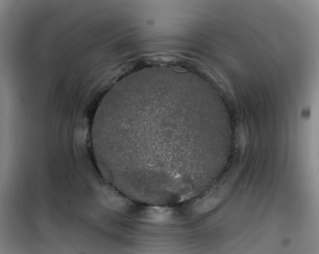 X0000101180328200807111121