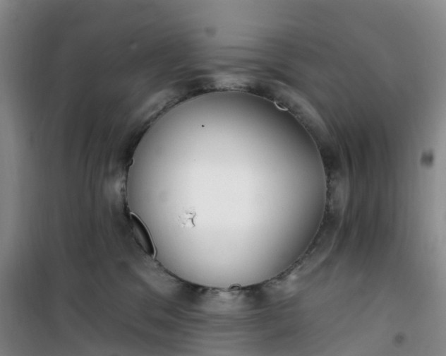 X0000101180329200807111121