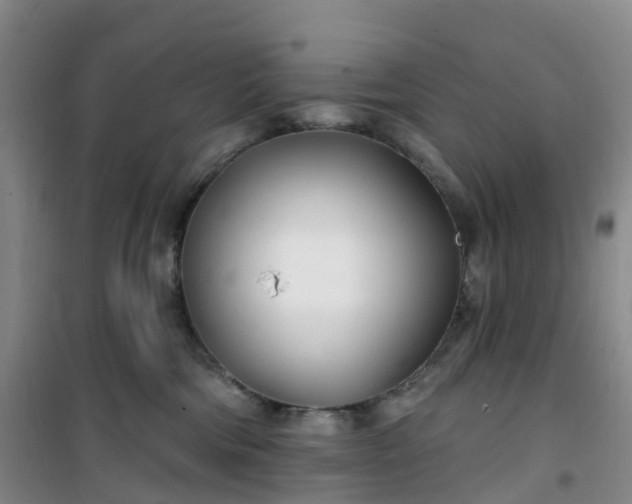 X0000101180330200807111121