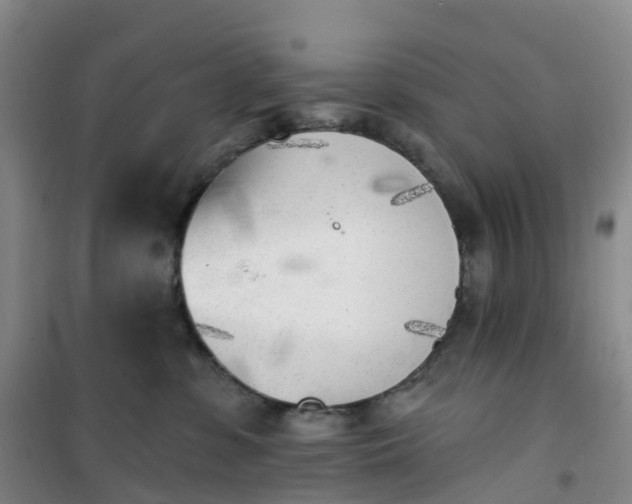 X0000101180331200807111121