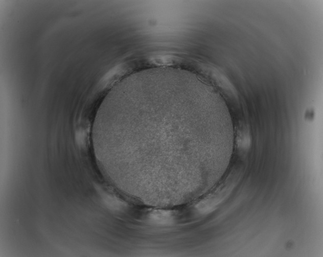 X0000101180332200807111121