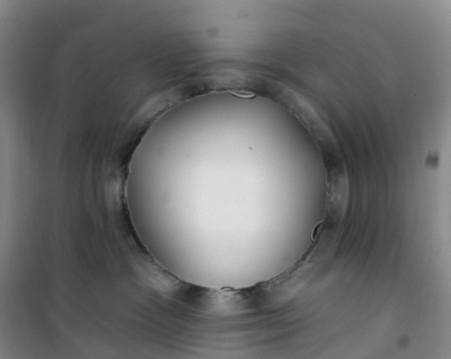 X0000101180333200807111121