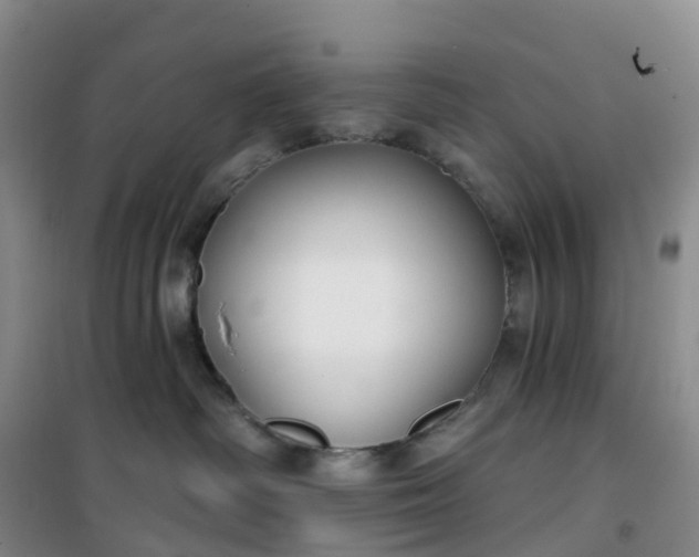 X0000101180334200807111121