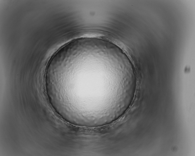 X0000101180337200807111120