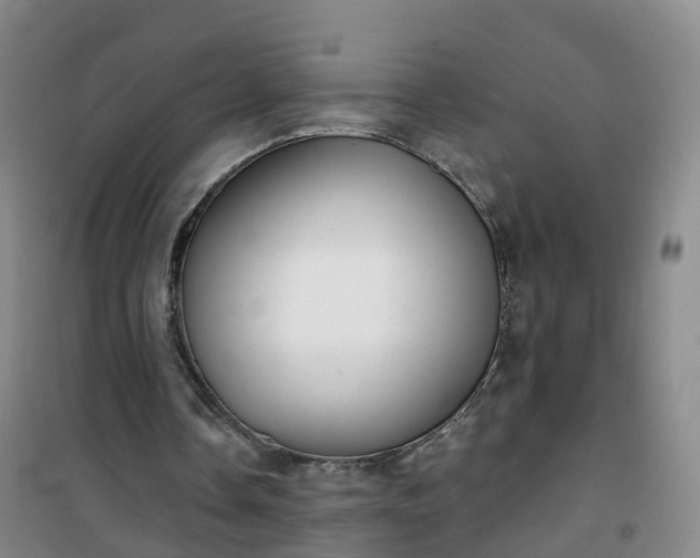 X0000101180338200807111120