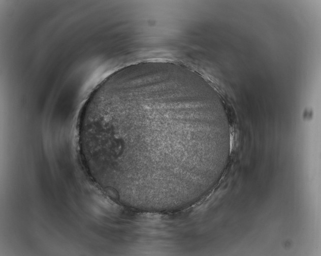 X0000101180339200807111120